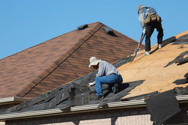 Best Roof Coating Services  in Sierra Ridge, CO