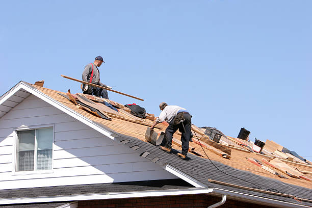 Best Emergency Roof Repair Services  in Sierra Ridge, CO